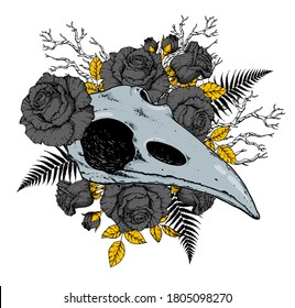 Raven skull and rose flowers. Hand drawn illustration. Tattoo vintage print. Bird skull and blck roses.