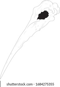 cráneo cuervo. ilustración vectorial. regar