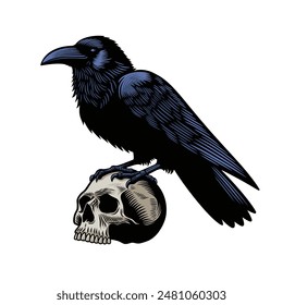 Raven standing on a skull in vintage engraving style vector illustration