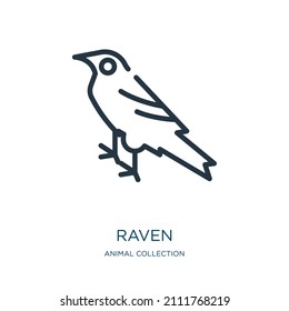 raven thin line icon. nature, animal linear icons from animal collection concept isolated outline sign. Vector illustration symbol element for web design and apps.