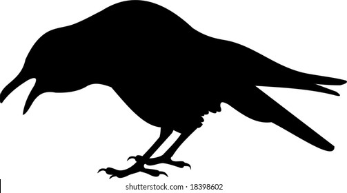 raven, vector