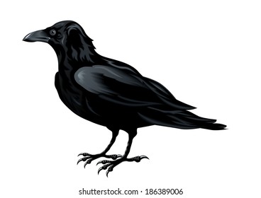 626 Heraldic Raven Images, Stock Photos & Vectors | Shutterstock