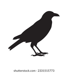 Raven vector art, raven silhouette flat icon isolated in white background.