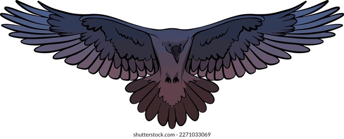raven vector graphics illustration art 