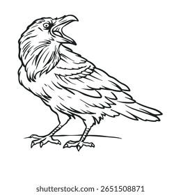 raven vector illustration. Drawing. Outline. Simple