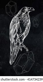 Raven. Vector illustration isolated on black background. Detailed drawing of a bird