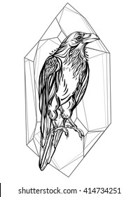 Raven. Vector illustration isolated on white background. Detailed drawing of a bird