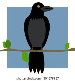 Raven vector image