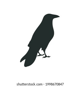 Silhouette Raven Vector aislado en fondo blanco