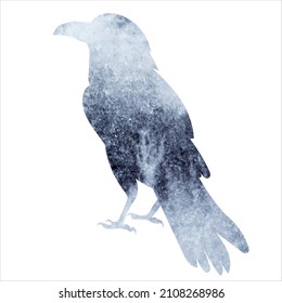 Raven watercolor silhouette, isolated vector