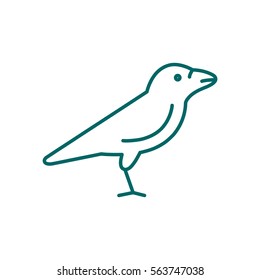 Raven web line icon.