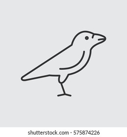 Raven web line icon.