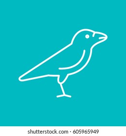 Raven web line icon.
