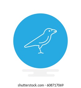 Raven web line icon.