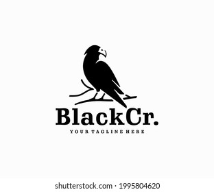 Raven wisdom logo design. Black crow sitting on a branch vector design. Bird silhouette logotype
