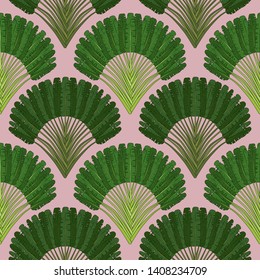 
Ravenala madagascariensis seamless pattern.Vintage texture with fan foliage on a pink background. Hand drawn vector illustration with an exotic giant palm tree.
