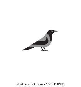 Raven,crow cartoon icon,vector on a white background