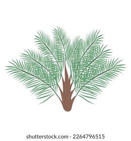 Ravenea or Phoenix palm tree isolated on white background. Beautiful simple vector palm tree