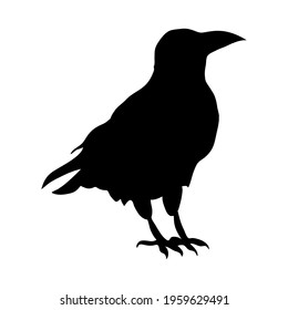 Ravens black silhouette. Vector illustration isolated on white background EPS 10