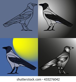 Ravens. four variants coloring raven, dry and shiny, silhouette and outline.
