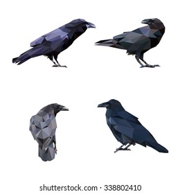 Ravens in low polygon style on white background, vector illustration