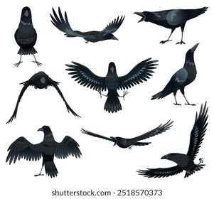 Ravens. Silhouettes Representing Various Bird Species Captured in Moments of Flight and Resting