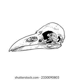 Raver skull illustration. Vector sketch. Isolated on white. Hand-drawn style.