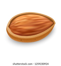 Raw almond icon. Realistic illustration of raw almond vector icon for web design