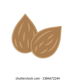 raw almond icon- vector illustration