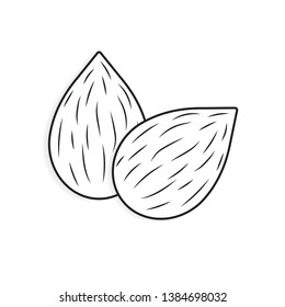 raw almond icon- vector illustration