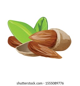 Raw almonds icon. Cartoon of raw almonds vector icon for web design isolated on white background