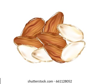 Raw almonds on white background