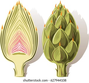raw artichokes one cut in half.