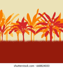 Raw banana tree farm field vector background