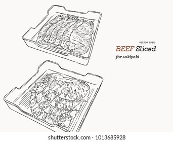 Raw beef meat sliced in tray. Vector hand draw  Illustration 