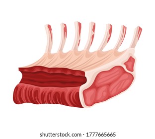 Raw Beef Rib as Meat Product Vector Illustration
