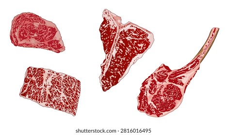 Raw Beef Steak Set — Ribeye, T-Bone, Tomahawk and Strip Loin Meat Cuts