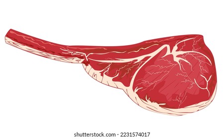 Raw beef, tomahawk steak. Typography template for meat business - shop, market, restaurant or design - banner, sticker, menu. Vector Illustration