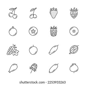 Iconos de la línea de berry en bruto. Jardín de granja y cerezo silvestre, fresa y arándano, frambuesa, arándano de miel y de cadera, curry y arándano, uva, arándano y arándano, pictograma vectorial de uva, arándano y arándano