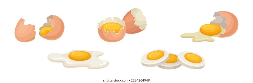 Raw, Boiled and Scrambled Egg with Yolk and Shell Vector Set