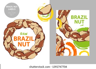 Raw brazil nut label. Creative colorful badge with semicircle of nuts. Circle of hand drawn brazil nuts isolated on white background. Vector nut design elements ready for web and print.