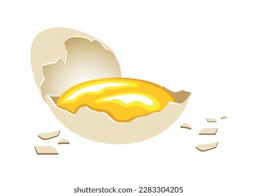 Raw broken egg, yolk in the shell. Colorful vector drawing, illustration of an egg. Broken chicken egg, pieces of shell. A healthy and delicious egg

