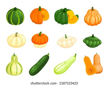 Calabaza cruda de mantequilla, calabaza y verduras de calabaza. Comida vegetal vegetal, calabacín amarillo, calabacín verde, calabaza naranja y calabaza de paleta blanca, verduras de medio corte y cuñas con semillas