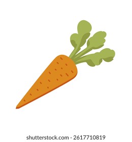 Raw carrot in flat design. Food product in vegetarian menu, orange root. Vector illustration isolated.