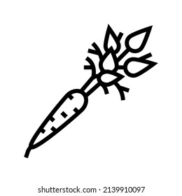 raw carrot line icon vector. raw carrot sign. isolated contour symbol black illustration