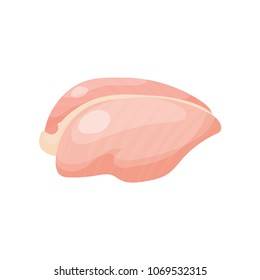 Raw chicken breast, part of chicken carcass vector Illustration on a white background