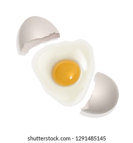 The raw chicken egg, broken egg. Healthy food for breakfast. natural protein and yolk. Illustration in realistic style, isolated on white background. Vector EPS 10