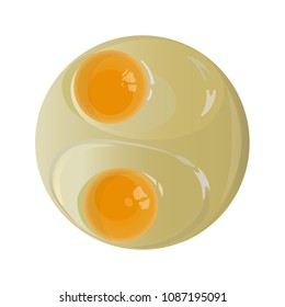Raw chicken egg with two yolks. Vector illustration isolated on white background