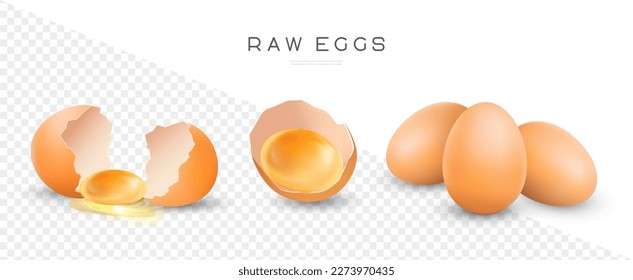 Raw chicken eggs vector isolated illustration. Whole and broken brown fresh eggs. Yolk in eggshell