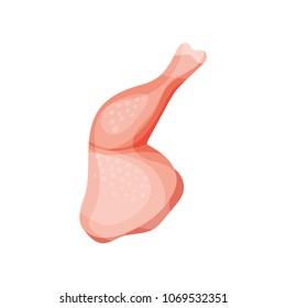 Raw chicken leg, fresh meat concept vector Illustration on a white background